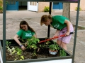 Blooming Gardeners03-ws